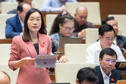 ĐBQH đề nghị hoàn thiện quy định để khởi tố hành vi trốn đóng bảo hiểm xã hội