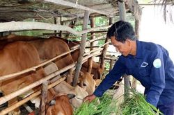 Thách thức giảm nghèo bền vững
