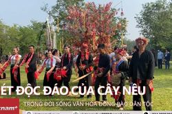 Nét độc đáo của cây Nêu trong đời sống văn hóa đồng bào dân tộc
