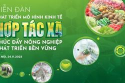 Diễn đàn 'Phát triển mô hình kinh tế hợp tác xã, thúc đẩy nông nghiệp phát triển bền vững'