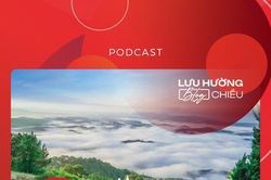 Đà Lạt - thông, sương và nhạc Trịnh