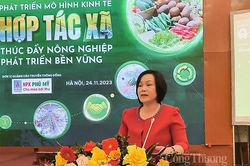 Chuyển đổi xanh được xem là tất yếu và sống còn cho doanh nghiệp xuất khẩu