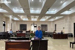 Nhân viên ngân hàng lãnh án vì lừa đảo chiếm đoạt tiền tỷ