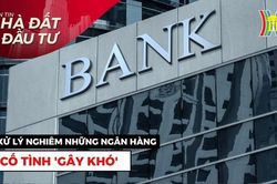 Bản tin Nhà đất và đầu tư | 24/11/2023