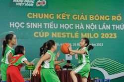 Khai mạc giải bóng rổ học sinh tiểu học Hà Nội 2023