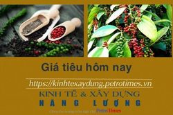 Giá tiêu hôm nay 25/11: Đi ngang tại thị trường nội địa