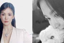 Song Hye Kyo là minh chứng 'phụ nữ đẹp nhất khi không thuộc về ai'