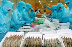 Ngành thủy sản dự báo gặp khó khăn kéo dài đến năm 2024