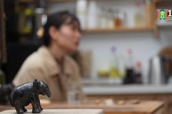 Những lằn roi sau tà áo mỏng| Cuộc sống thành thị| 25/11/2023