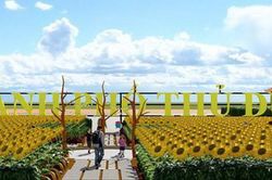 TP Hồ Chí Minh: Công bố phối cảnh cánh đồng hoa bờ sông Sài Gòn