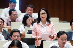 Đại biểu Quốc hội: Dự thảo Luật Thủ đô được chuẩn bị công phu, nghiêm túc