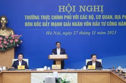 Thủ tướng phê bình các bộ, cơ quan, địa phương có tỷ lệ giải ngân thấp