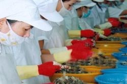 Cổ phiếu của Công ty Thủy sản Bạc Liêu bị hủy niêm yết trên HNX từ ngày 5/12