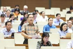 Việc sửa đổi Luật Đấu giá tài sản là cần thiết