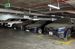 Tin xe hôm nay 29/11: VinFast xả hàng xe cũ với giá siêu rẻ, xe SUV 7 chỗ tung ưu đãi siêu khủng, khiến người mua khó cưỡng