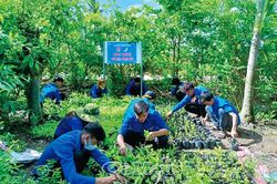 Tạo sinh khí mới trong sinh hoạt Ðoàn