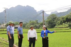 Hòa Bình: Chuẩn hóa đội ngũ cán bộ vùng đồng bào dân tộc thiểu số