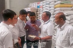 Góp phần nâng cao giá trị gạo Cà Mau