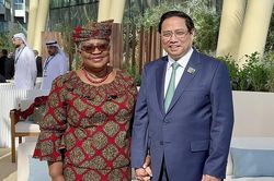 COP28: Thủ tướng Phạm Minh Chính gặp lãnh đạo nhiều nước và tổ chức quốc tế