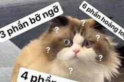 Truyện cười: Nhà có bà dì ế và đứa cháu láu cá