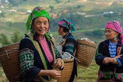 Tọa đàm trực tuyến: 'Chung tay chăm sóc sức khỏe người cao tuổi vùng cao'