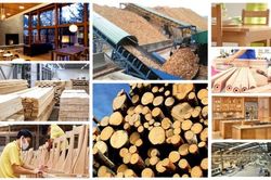 Tìm 'thị trường ngách' thúc đẩy xuất khẩu