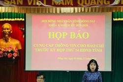 Cử tri kiến nghị 3 nhóm vấn đề chính tại Kỳ họp cuối năm HĐND tỉnh Đồng Nai