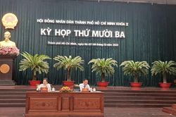 Thông qua nhiều Nghị quyết các lĩnh vực kinh tế, đô thị, văn hóa–xã hội