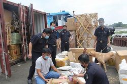 Xử lý 14.589 vụ vi phạm pháp luật hải quan, thu nộp NSNN hơn 474 tỷ đồng
