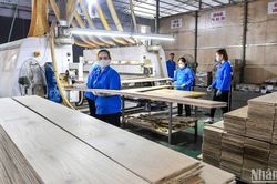 Việt Nam xuất siêu 25,82 tỷ USD trong 11 tháng năm 2023