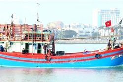 Xử lý nghiêm các vi phạm về khai thác hải sản
