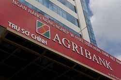 Agribank rao bán nhà máy điện gió đầu tiên tại Việt Nam để thu hồi nợ