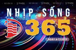 Bản tin truyền hình 'Nhịp sống 365' thứ tư 6-12-2023