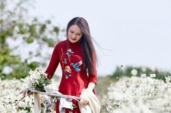 Mai Hoa- 'Nữ hoàng nhạc phim' được phong tặng Nghệ sĩ Nhân dân