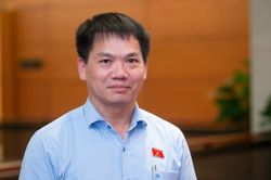 Cần quy định nghĩa vụ của người trúng đấu giá tài sản, tránh tình trạng 'bỏ cọc', gây lũng đoạn thị trường