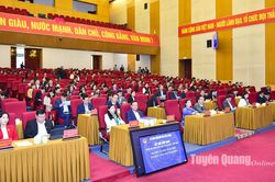 Đại biểu HĐND tỉnh nghe các báo cáo, dự thảo nghị quyết trình kỳ họp