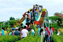 Festival hoa – kiểng Sa Đéc 'tình đất – tình hoa'