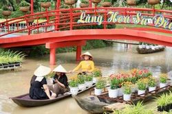 Hơn 2000 loại hoa phục vụ cho Festival Hoa – Kiểng Sa Đéc