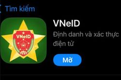 Người dân có thể tự cập nhật bằng lái xe lên VNeID