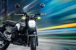Honda Grom 2024 trình làng - mô tô cỡ nhỏ giá chỉ 48 triệu đồng