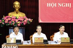 Tập trung làm rõ những hạn chế, nguyên nhân, đề xuất giải pháp thực hiện trong thời gian tới