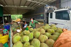 11 tháng, Trung Quốc là thị trường xuất khẩu duy nhất tăng trưởng dương