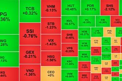 VN-Index 'níu' sắc xanh, MWG bứt phá khi được khối ngoại gom trở lại