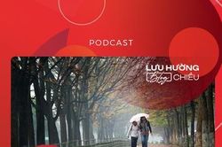Phố của tôi