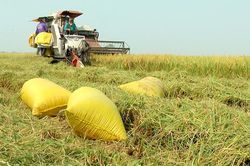 Huyện Tân Hồng thực hiện đạt và vượt 16/16 chỉ tiêu phát triển kinh tế - xã hội