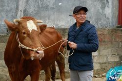Thử thách khó ở 'Có hẹn với thanh xuân': Nghệ sĩ Kim Tử Long 'ra tay' giúp MC Lại Văn Sâm
