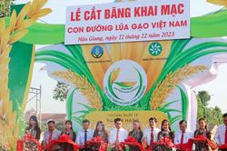 Khai mạc triển lãm 'Con đường lúa gạo' tại Hậu Giang