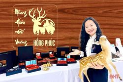 Biến đặc sản nhung hươu của Hà Tĩnh thành 'thần dược'