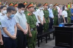 Sắp xét xử phúc thẩm vụ án 'Chuyến bay giải cứu'