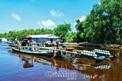 Ngăn chặn khai thác tận diệt